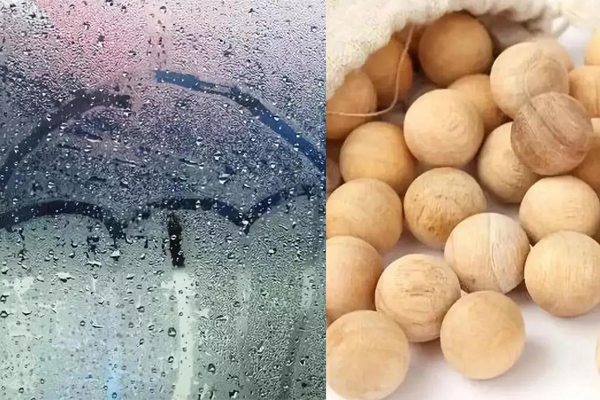 防潮和防虫