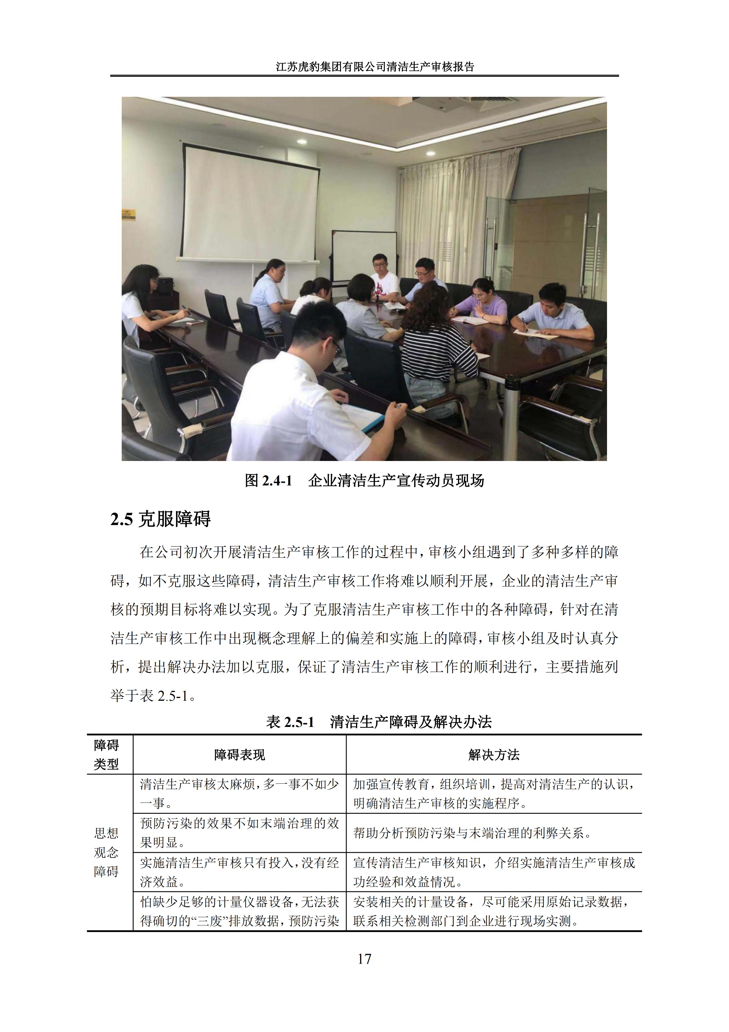 2.1、清洁生产审核报告_20